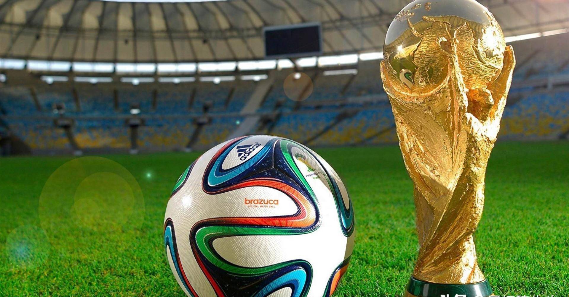 被更加深固 被更加深固